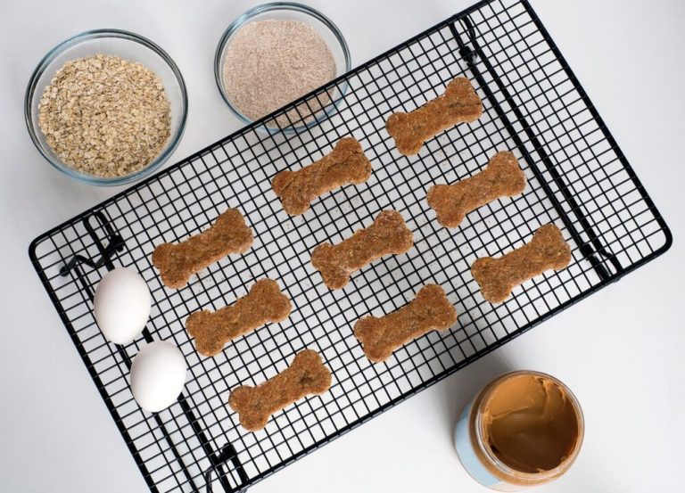 Ezra Cohen Montreal, Ezra Cohen McGill, Homemade Peanut Butter Dog Treats