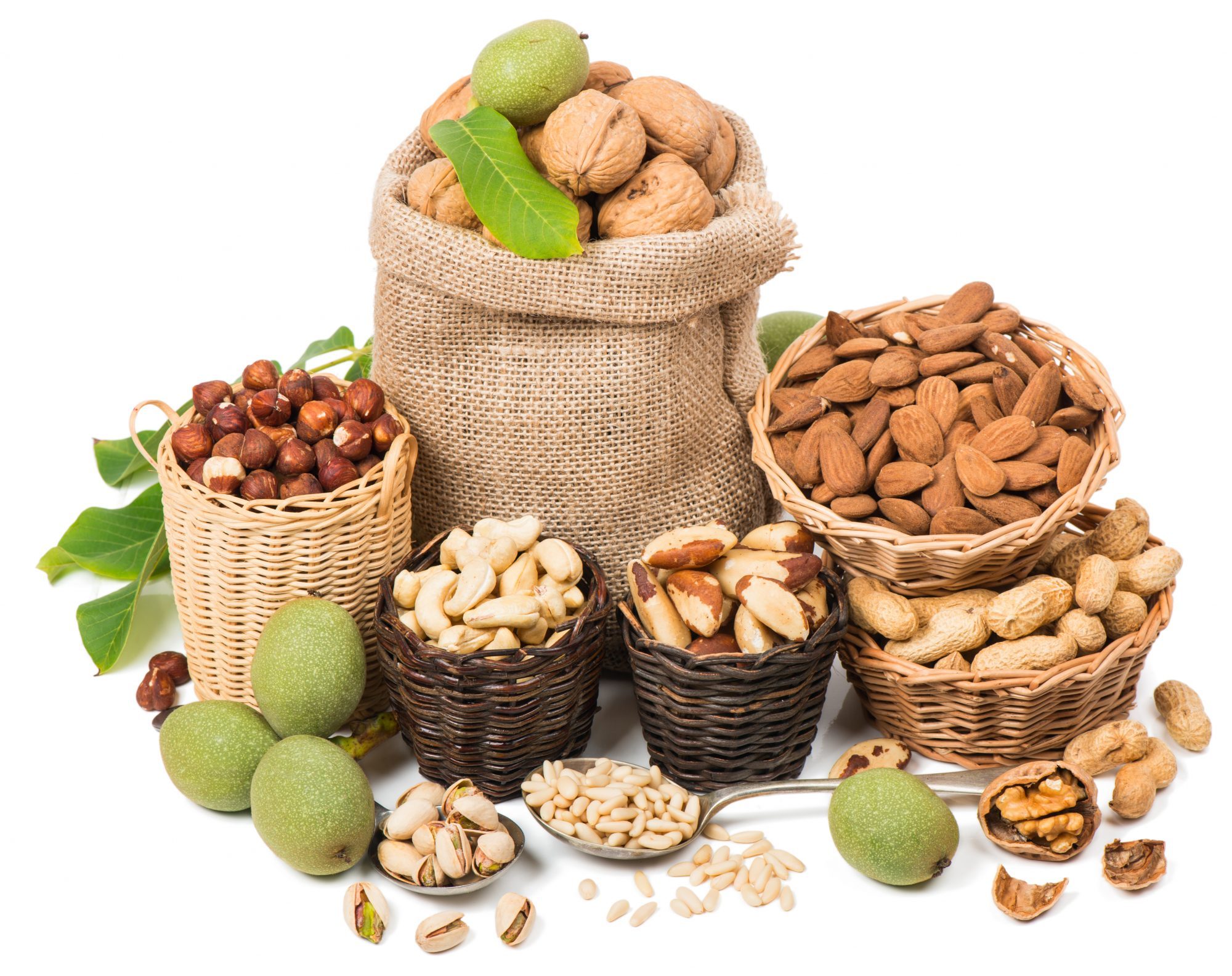 Ezra Cohen Mcgill, Ezra Cohen Montreal, History Of Nuts